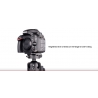 SUNWAYFOTO PN-D600 Plateau pour Nikon D600/D610