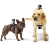 Dog Fetch Hound Harness Chest Strap Belt Mount for GoPro