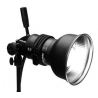 Profoto ProHead Plus flash (lampe pilote 250W)