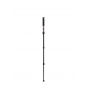 Benro Mach 3 MMA28C Monopod Carbon