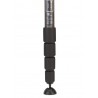 Benro Mach 3 MMA49C Monopod Carbon