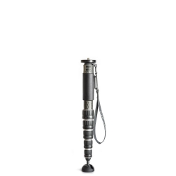 GITZO GM4562 Monopod Series 4 Carbon 6 sections (Remplace le GM5561T)