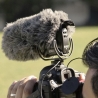 RODE DeadCat VMPR pour VideoMic Pro Rycote