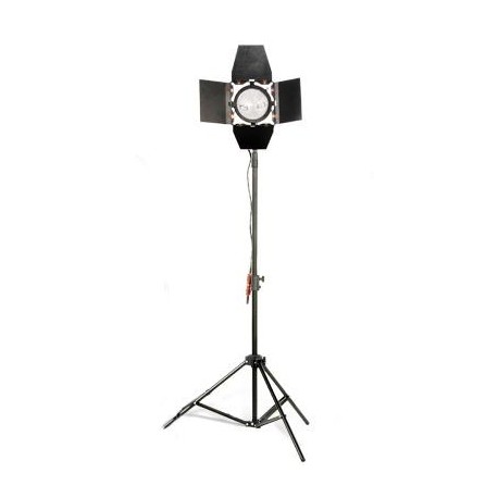 NiceFoto RedHead 1x 800W Mandarine Kit GDR-800 with dimmer + Stand