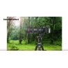 Sunwayfoto GH-01 Gimbal Head