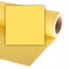 Colorama Dandelion Fond de Studio papier 1,35mx11m