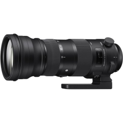 Sigma 150-600mm F5-6.3 DG OS HSM Sports Canon