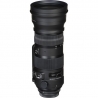 Sigma 150-600mm F5-6.3 DG OS HSM Sports Nikon
