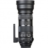 Sigma 150-600mm F5-6.3 DG OS HSM Sports + TC-1401 Nikon