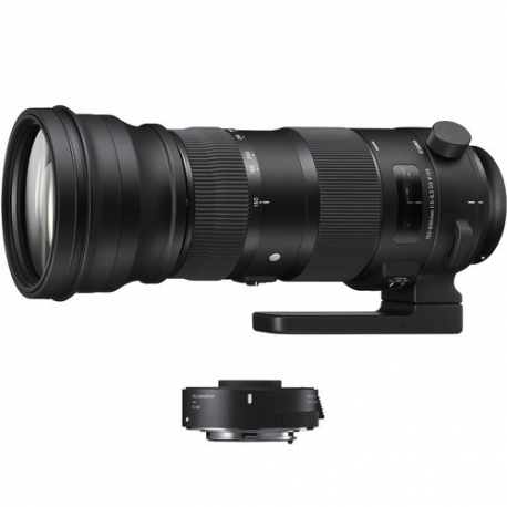 Sigma 150-600mm F5-6.3 DG OS HSM Sports + TC-1401 Canon