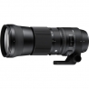Sigma 150-600mm F5-6.3 DG OS HSM Contemporary + TC-1401 Canon