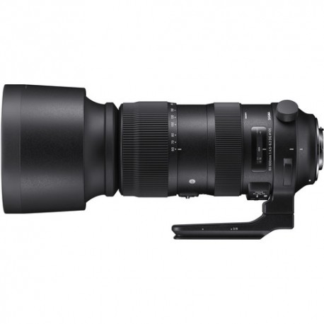 Sigma 60-600mm F4.5-6.3 DG OS HSM Sports Canon
