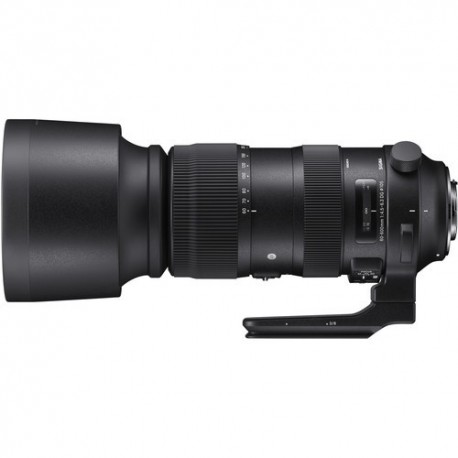 Sigma 60-600mm F4.5-6.3 DG OS HSM Sports Nikon