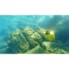 Chasing Innovation Gladius Mini Underwater ROV (50m)