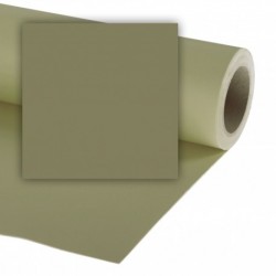 Picture Concept Leaf Fond de studio papier 2,72mx11m (transport voir détail)