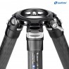 Leofoto LM-365C Summit Carbon Tripod