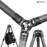 Leofoto LS-365C Ranger Carbon Tripod