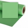 Picture Concept Summer Green Background paper 1.36mx11m