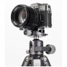 Benro GX30 Ball Head Low Profil Arca