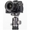 Benro VX25 Ball Head Arca compatible