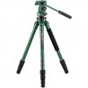 Benro Wild Series 1 with BWH4 Aluminum Tripod Green