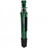 Benro Wild Series 1 with BWH4 Aluminum Tripod Green