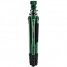 Benro Wild Series 2 with BWH4 Aluminum Tripod Green