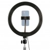 Picture Concept Bi-Color LED Ring Lamp RL10-USB