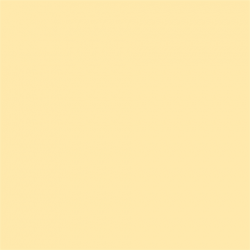 Picture Concept Cream Background paper 2,72mx11m