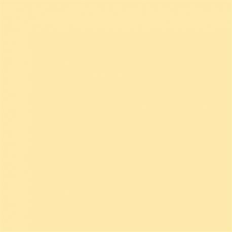 Picture Concept Cream Background paper 2,72mx11m