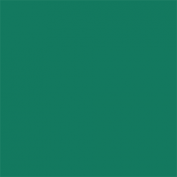 Picture Concept Deep Green Background paper 2,72mx11m