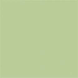 Picture Concept Tropical Green Background paper 2,72mx11m