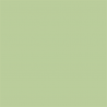 Picture Concept Tropical Green Background paper 2,72mx11m