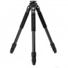 Benro BICLT303 Induro Classic Carbon Tripod