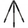 Induro BICLT203 Classic Carbon Tripod by Benro