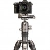 Benro GH2F Folding Gimbal Head