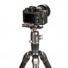 Benro GH2F Folding Gimbal Head