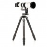 Benro Mammoth TMTH44C Carbon Tripod