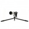 Benro Mammoth TMTH44C Carbon Tripod