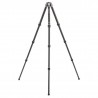 Benro Tortoise TTOR24C Carbon Tripod