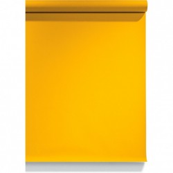Picture Concept Forsythia Yellow Fond de studio papier 1.36mx11m