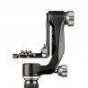 Benro GH5C Mini Gimbal Head Carbon