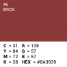 Picture Concept Brick Background paper 2,72mx11m